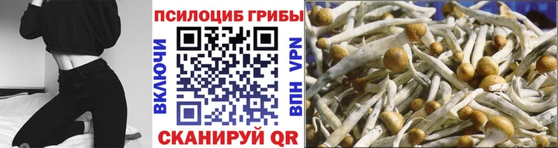 ОМГ ОМГ сайт  Новоржев  Галлюциногенные грибы прущие грибы  даркнет сайт 