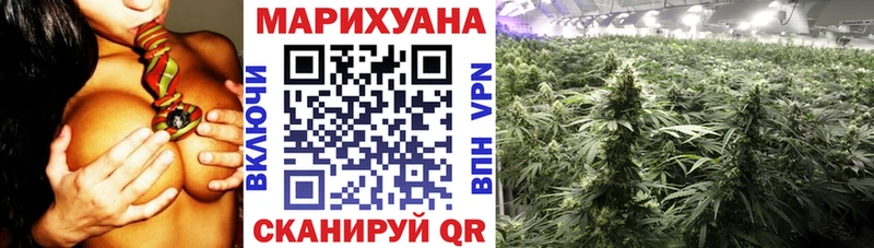 сколько стоит Новоржев Конопля сатива